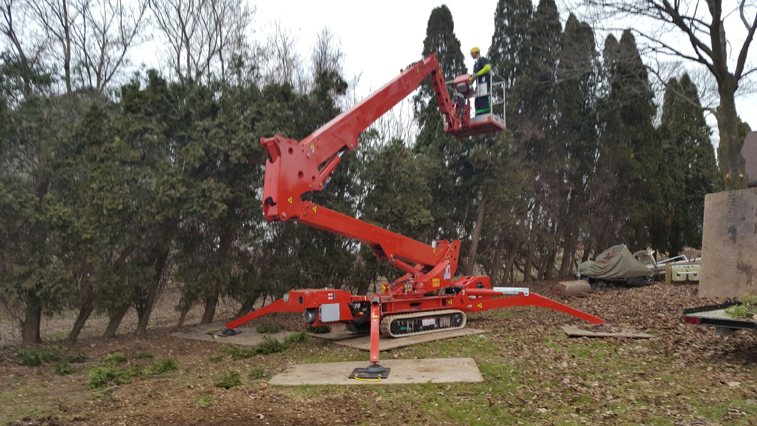 Tree and Land Management Services in Youngstown, NY